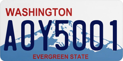 WA license plate AOY5001