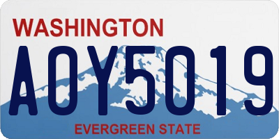 WA license plate AOY5019