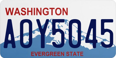 WA license plate AOY5045