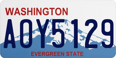 WA license plate AOY5129