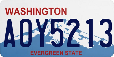 WA license plate AOY5213