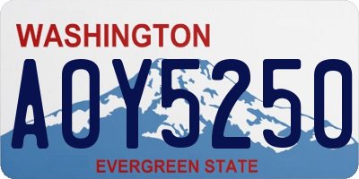 WA license plate AOY5250