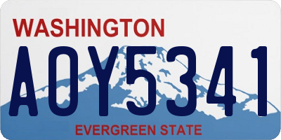 WA license plate AOY5341