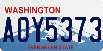 WA license plate AOY5373