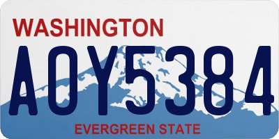 WA license plate AOY5384