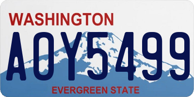 WA license plate AOY5499
