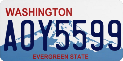 WA license plate AOY5599