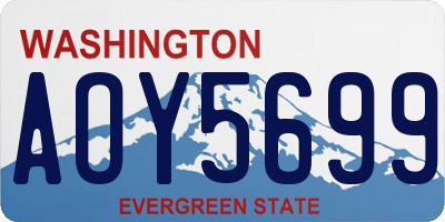 WA license plate AOY5699