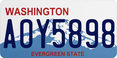WA license plate AOY5898