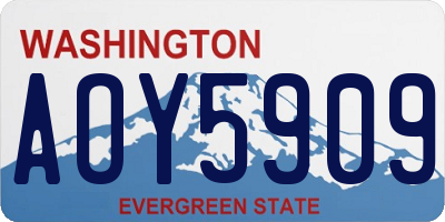 WA license plate AOY5909