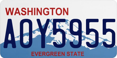 WA license plate AOY5955