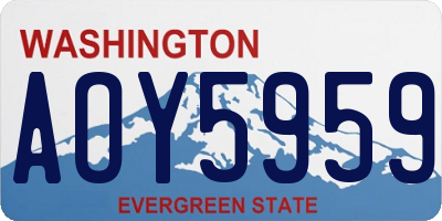 WA license plate AOY5959