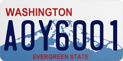 WA license plate AOY6001