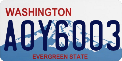 WA license plate AOY6003