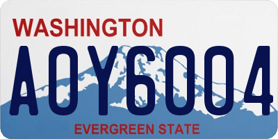 WA license plate AOY6004