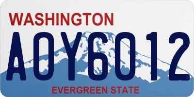 WA license plate AOY6012