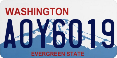 WA license plate AOY6019