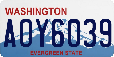 WA license plate AOY6039