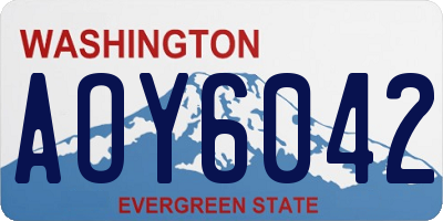 WA license plate AOY6042