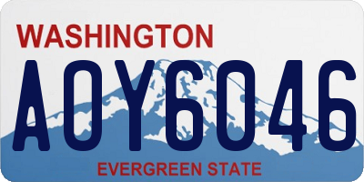 WA license plate AOY6046