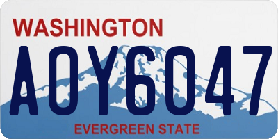 WA license plate AOY6047