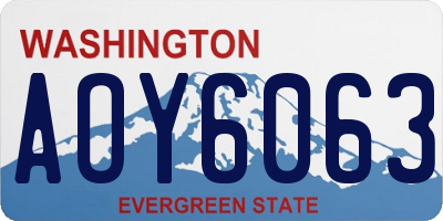 WA license plate AOY6063