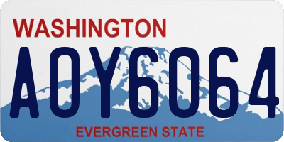 WA license plate AOY6064