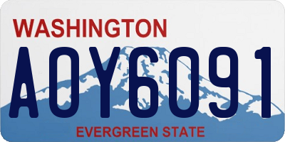 WA license plate AOY6091