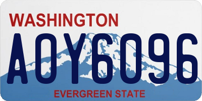 WA license plate AOY6096