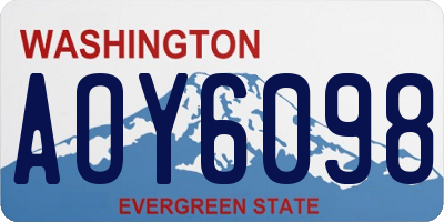 WA license plate AOY6098