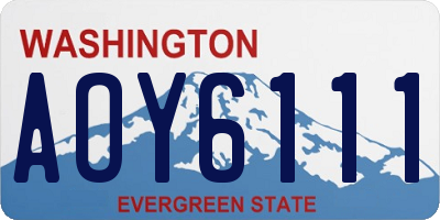 WA license plate AOY6111