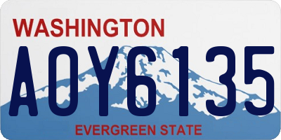 WA license plate AOY6135