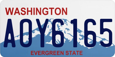 WA license plate AOY6165