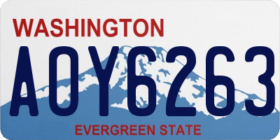 WA license plate AOY6263