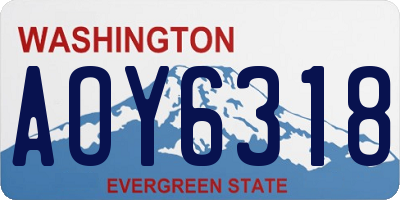 WA license plate AOY6318