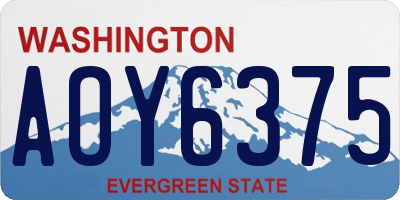 WA license plate AOY6375