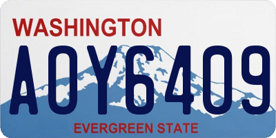 WA license plate AOY6409