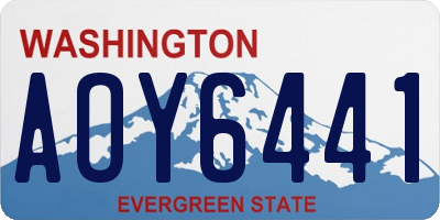 WA license plate AOY6441