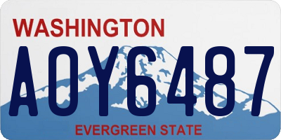 WA license plate AOY6487