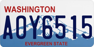 WA license plate AOY6515