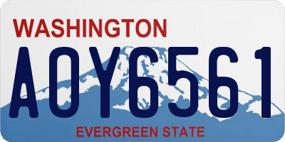 WA license plate AOY6561