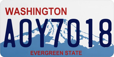 WA license plate AOY7018