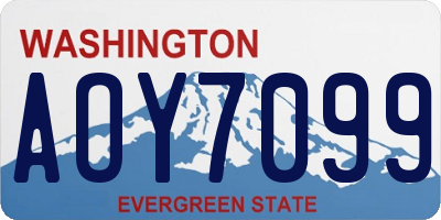 WA license plate AOY7099