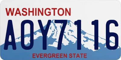 WA license plate AOY7116