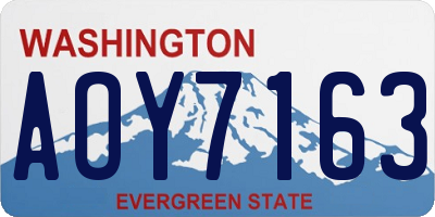 WA license plate AOY7163