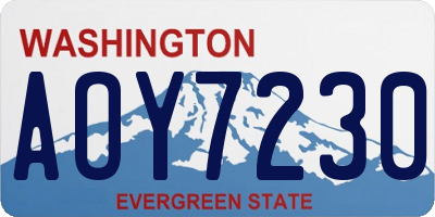 WA license plate AOY7230