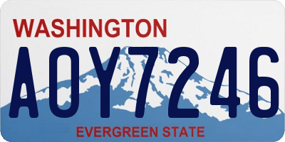 WA license plate AOY7246