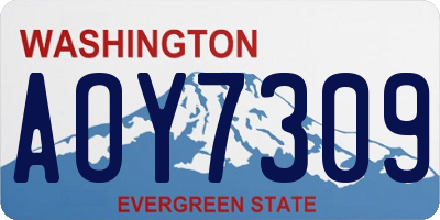 WA license plate AOY7309