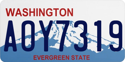 WA license plate AOY7319