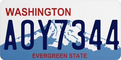 WA license plate AOY7344